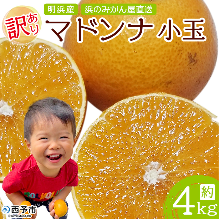 訳あり マドンナ 約4kg（小玉）