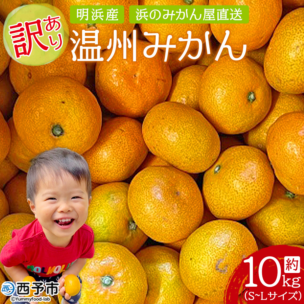 明浜産 浜のみかん屋直送 温州みかん 訳あり（10kg）