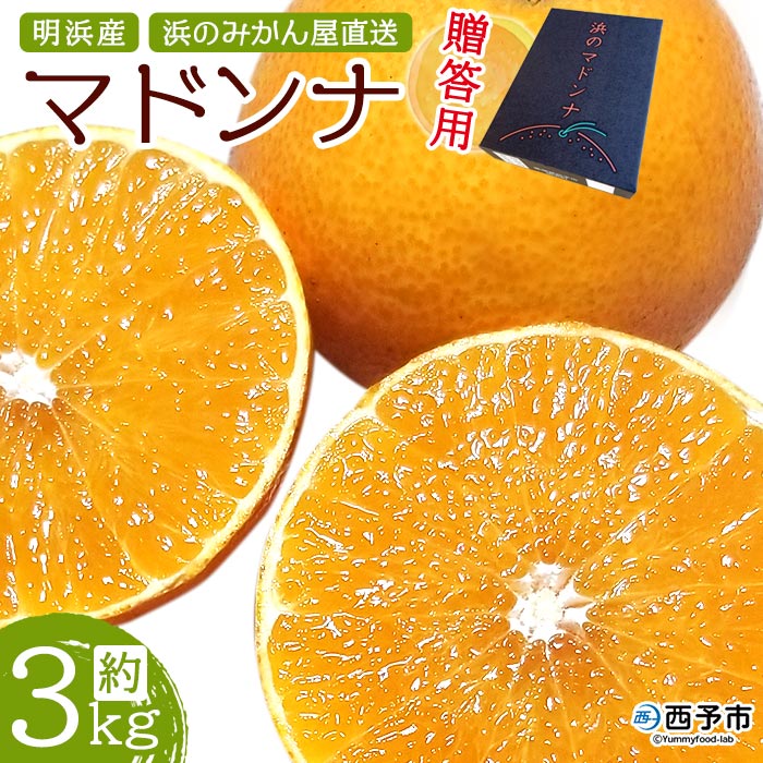 明浜産 浜のマドンナ 贈答用 約3kg