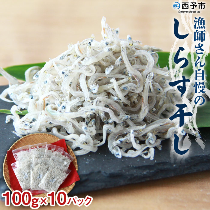 ＜漁師さん自慢のしらす干し 合計1kg（100g×10パック）＞ シラス 魚介類 さかな 海産物 海鮮 海の幸 小分け 国産 ご飯のお供 丼 おつまみ 晩酌 おかず おやつ 特産品 産地直送 濵田水産 愛媛県 西予市 1kg(100g×10パック)（寄附額10,000円）
