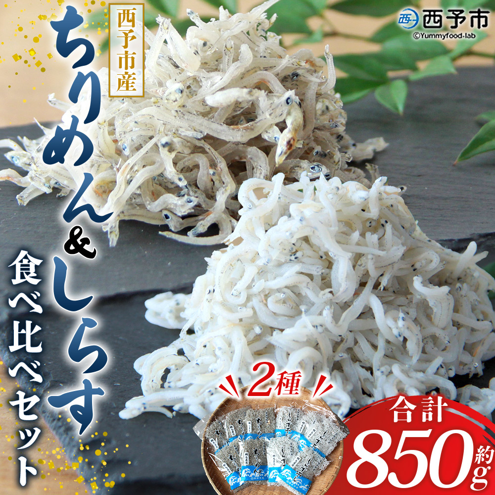 ＜ちりめん＆しらす干し 食べ比べセット 合計850g（ちりめん70g×5袋 しらす干し100g×5袋 ）＞ 西予市産 詰め合わせ チリメン シラス 魚介 海産物 海鮮 家庭用 贈答用 小分け 国産 特産品 産地直送 濵田水産 愛媛県 西予市