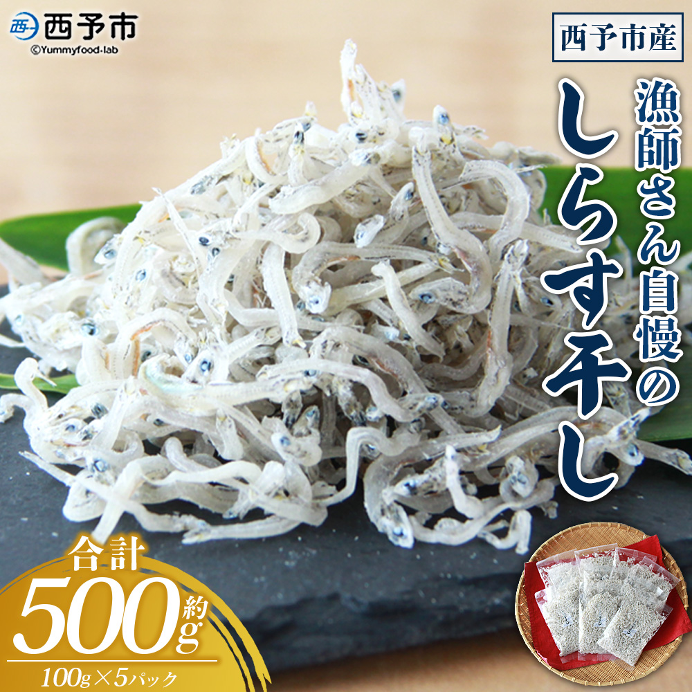 ＜漁師さん自慢のしらす干し 合計500g（100g×5パック）＞ シラス 魚介類 さかな 海産物 海鮮 海の幸 小分け 国産 ご飯のお供 丼 おつまみ 晩酌 おかず おやつ 特産品 産地直送 濵田水産 愛媛県 西予市 500g(100g×5パック)（寄附額6,000円）