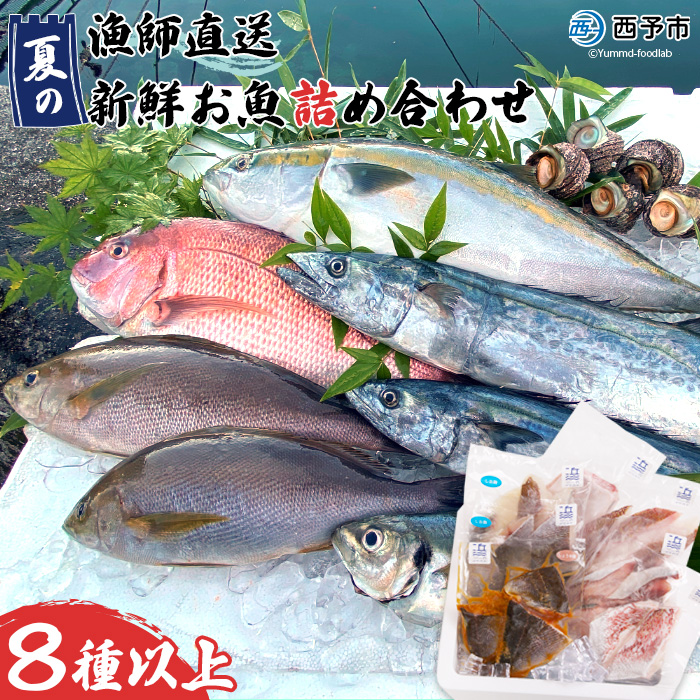 ＜漁師直送 夏の新鮮お魚詰め合わせ 8種以上＞ 魚 詰め合わせ 海鮮 海産物 海鮮セット イサキ 処理済み 麹漬け 明浜産 二ノ宮商事株式会社 愛媛県 西予市