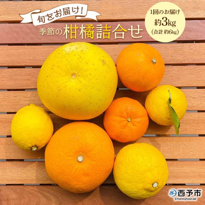 ＜旬をお届け！季節の柑橘詰合せ 2回定期便（約3kg×2回 合計約6kg）＞みかん ミカン 詰め合わせ 蜜柑 果物 フルーツ 食べ比べ 特産品 二ノ宮商事 愛媛県 西予市