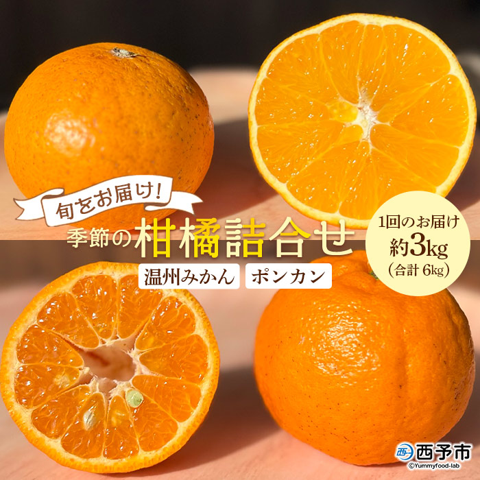 ＜旬をお届け！季節の柑橘 2回定期便（温州みかん約3kg・ポンカン約3kg）＞ミカン ぽんかん 蜜柑 果物 フルーツ 2種類 食べ比べ 手軽 特産品 二ノ宮商事 国産 愛媛県 西予市