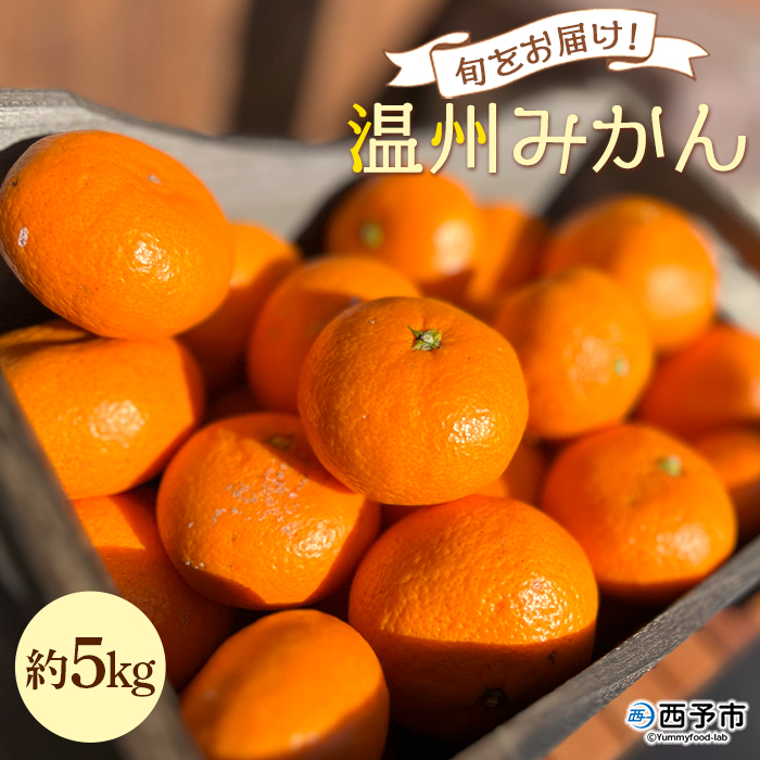 ＜旬をお届け！温州みかん 約5kg＞ 数量限定 ミカン 蜜柑 果物 柑橘類 果実 オレンジ フルーツ 早生 20号 手軽 特産品 国産 明浜産 二ノ宮商事株式会社 愛媛県 西予市