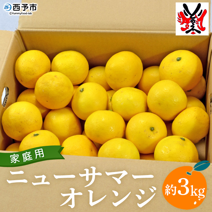 ＜愛媛県西予市産 ニューサマーオレンジ 約3kg＞ 果物 フルーツ ミカン 柑橘 日向夏 特産品 渡江から一歩を踏み出す会 愛媛県 西予市