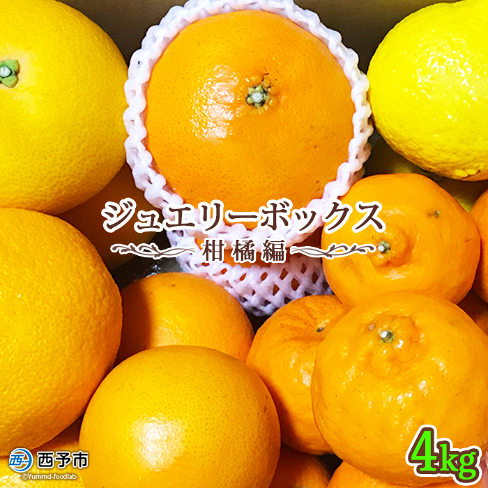 愛媛県明浜産　ジュエリーボックス（柑橘編）4kg【２月配送】