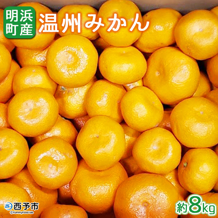 ＜産地直送！愛媛県明浜町産 温州みかん 約8kg＞ ミカン 蜜柑 柑橘類 フルーツ 果物 甘い おいしい おすそ分け ギフト 贈答 特産品 季節限定 期間限定 旬 宇都宮農園 愛媛県 西予市