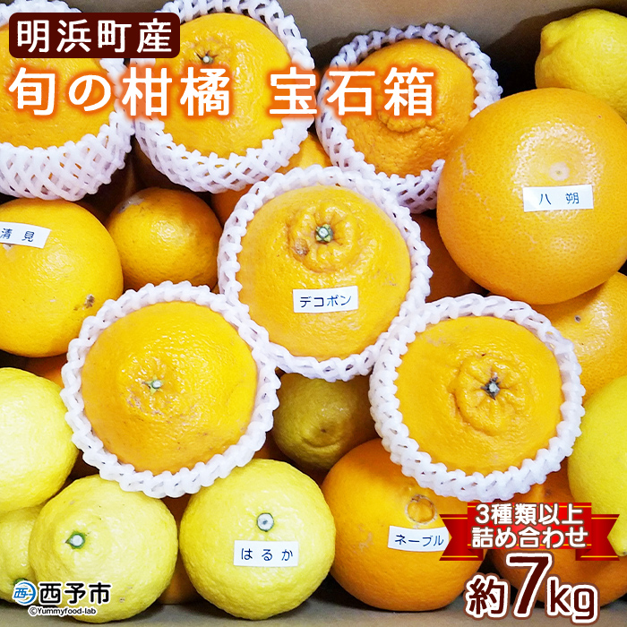 ＜愛媛県明浜産 旬の柑橘 宝石箱（3種類以上詰め合わせ）約7kg＞温州みかん ポンカン イヨカン はるか 紅ハッサク ネーブル せとか 不知火 デコポン 清見 紅甘夏 ブラッドオレンジ 宇都宮農園 西予市