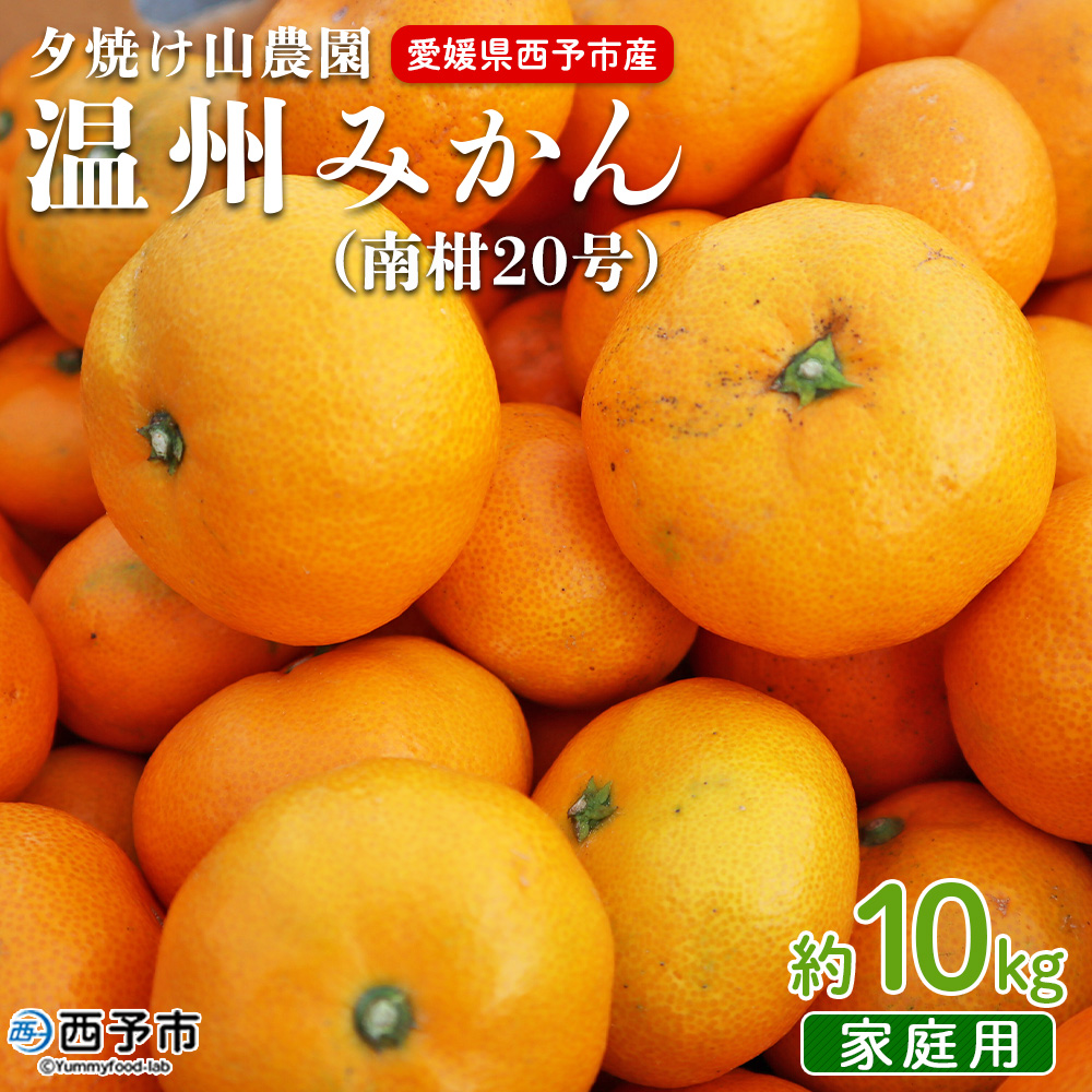 ＜夕焼け山農園 愛媛県西予市産 温州みかん 家庭用 約10kg（南柑20号）＞果物 フルーツ ミカン 柑橘 なんかん 訳あり 愛媛県 西予市