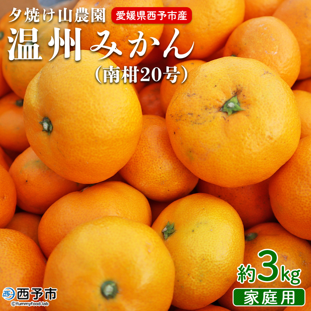 ＜夕焼け山農園 愛媛県西予市産 温州みかん 家庭用 約３kg（南柑20号）＞果物 フルーツ ミカン 柑橘 なんかん 訳あり 愛媛県 西予市
