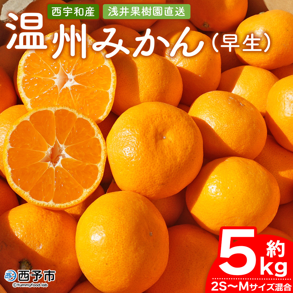 ＜浅井果樹園 温州みかん 約5kg（早生）＞ 柑橘 果物 フルーツ ミカン オレンジ ワセ 西宇和 愛媛県 西予市