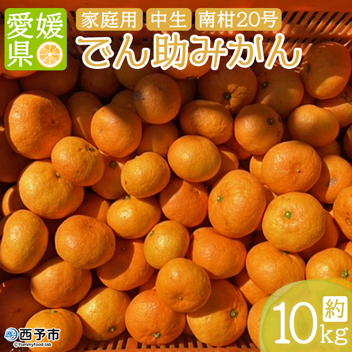 ＜でん助農園の温州みかん 南柑20号 約10kg（家庭用）＞ 果物 フルーツ ミカン オレンジ 柑橘 中生 自宅用 産地直送 西宇和産 愛媛県 西予市
