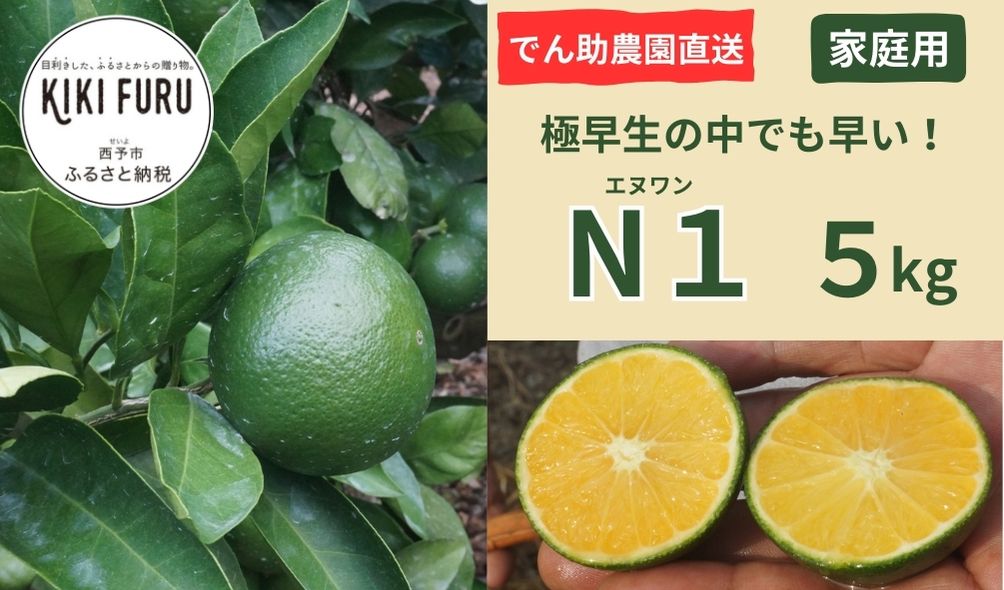 極早生の中でも早い！でん助農園の家庭用極早生温州みかん　エヌワン５キロ