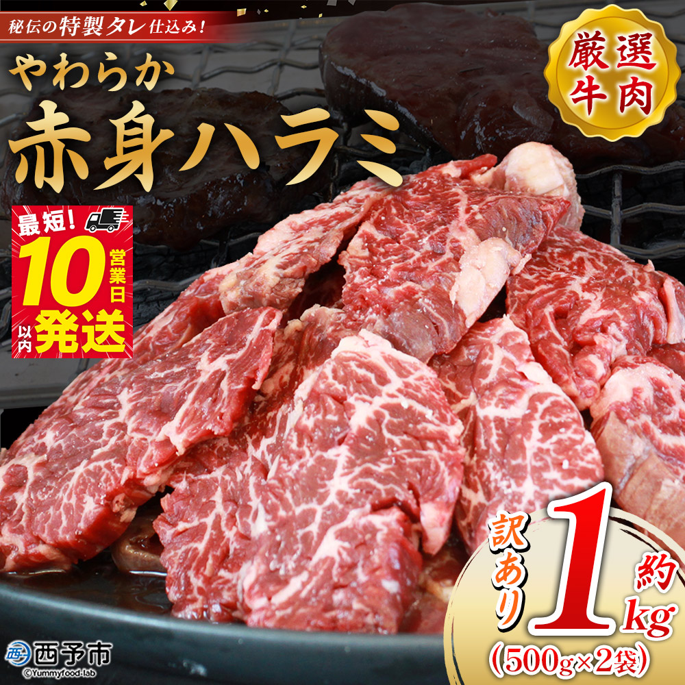 ＜秘伝の特製タレ仕込み！やわらか赤身ハラミ 約1kg（500g×2）＞ タレ漬け 柑橘 訳あり はらみ ハラミ 赤身 大容量 牛肉 お肉 焼肉 味付き おかず 焼くだけ 簡単調理 グルメ 丸和 愛媛県 西予市