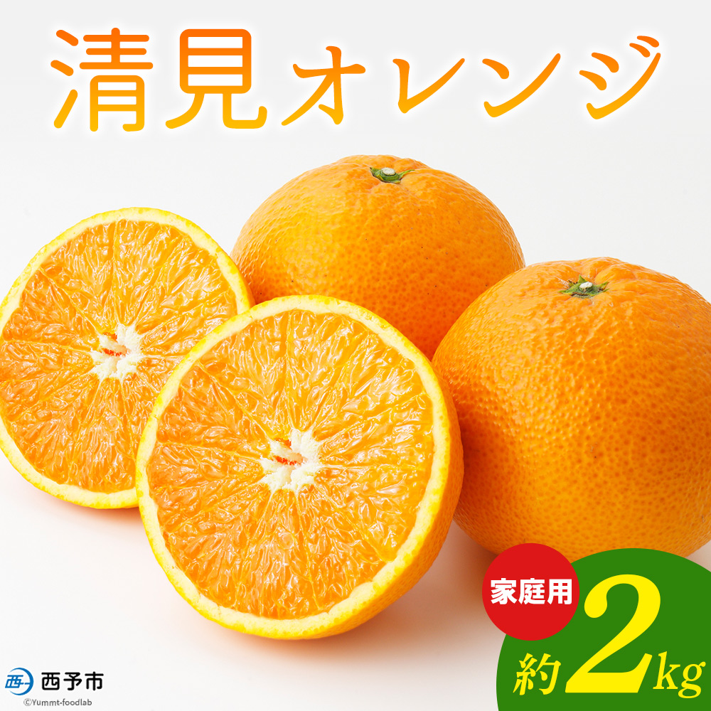 ＜清見オレンジ 家庭用 約2kg＞ 柑橘 みかん ミカン 蜜柑 果物 くだもの フルーツ きよみ キヨミ 訳あり ご自宅用 国産 愛媛産 特産品 おれんじはーと 西宇和 愛媛県 西予市