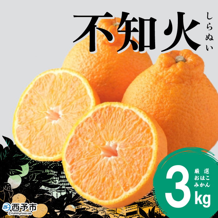 ＜おはこやがつくる おはこデコ（不知火）約3kg（L～3Lサイズ）＞ 果物 くだもの フルーツ 柑橘 蜜柑 ミカン しらぬい シラヌイ みかん 特産品 西宇和 愛媛県 西予市 約３kg（寄付額7,000円）