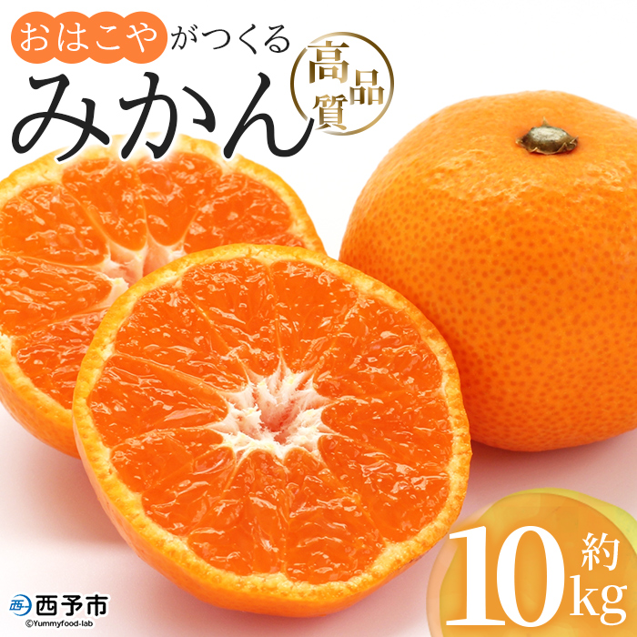 ＜おはこやがつくる 高品質みかん 約10kg（S～Lサイズ）＞ 果物 くだもの フルーツ 柑橘 みかん ミカン 蜜柑 まろやか 絶妙 特産品 西宇和 愛媛県 西予市 約10kg（寄附額19,000円）