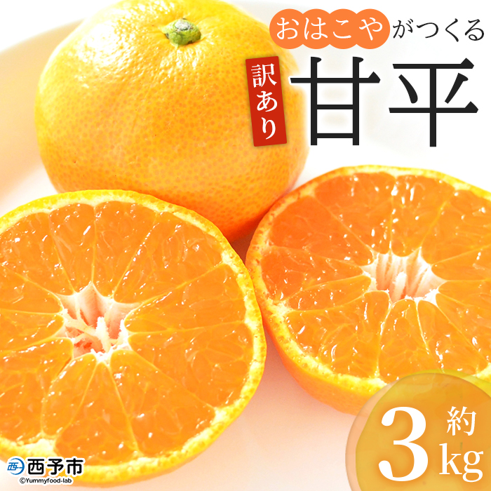 ＜訳あり おはこやがつくる 甘平 約3kg＞ ワケアリ 家庭用 自宅用 果物 くだもの 果実 フルーツ 柑橘類 かんぺい カンペイ みかん ミカン 蜜柑 特産品 西宇和 愛媛県 西予市