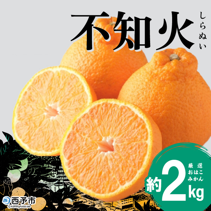 ＜おはこやがつくる おはこデコ（不知火）約2kg（L～3Lサイズ）＞ 果物 くだもの フルーツ 柑橘 蜜柑 ミカン しらぬい シラヌイ みかん 特産品 西宇和 愛媛県 西予市 約２kg（寄付額5,000円）