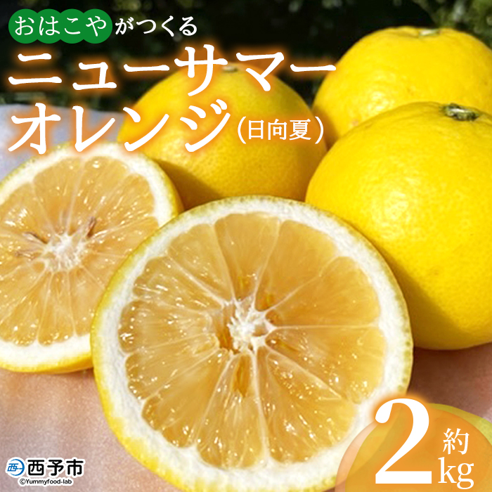 ＜おはこやがつくる ニューサマーオレンジ（日向夏） 約2kg（L～3Lサイズ）＞ 果物 くだもの フルーツ 柑橘 ミカン 蜜柑 みかん にゅーさまーおれんじ 小夏 特産品 西宇和 愛媛県 西予市 約２kg（寄附額5,000円）