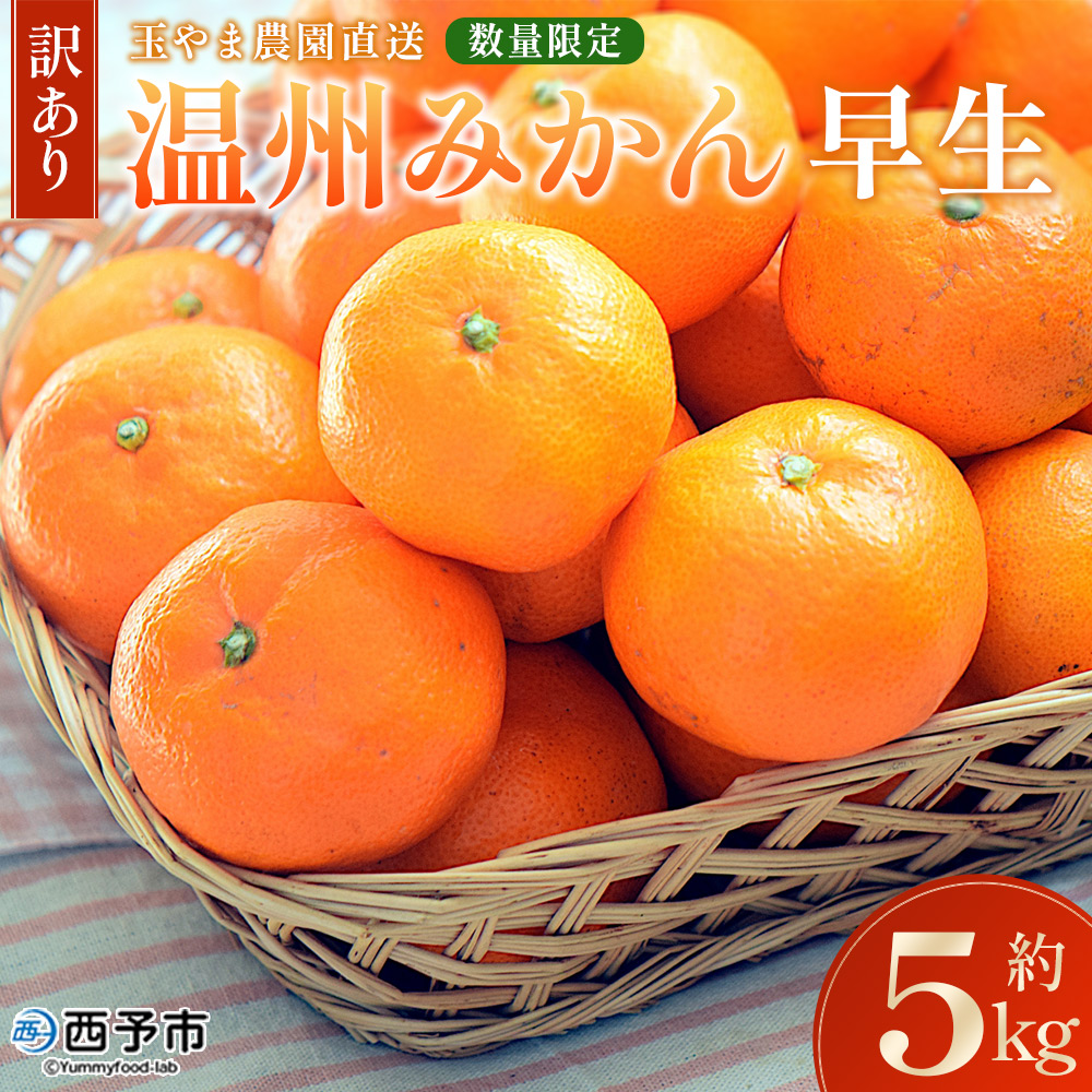 ＜【訳あり】温州みかん（早生）約5kg＞ 数量限定 産地直送 家庭用 ミカン ワセ 柑橘 フルーツ 果物 くだもの 愛媛県 西予市