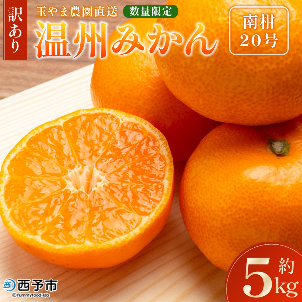 ＜【訳あり】温州みかん（南柑20号）約5kg＞数量限定 産地直送 家庭用 みかん ミカン 柑橘 フルーツ 果物 愛媛県 西予市