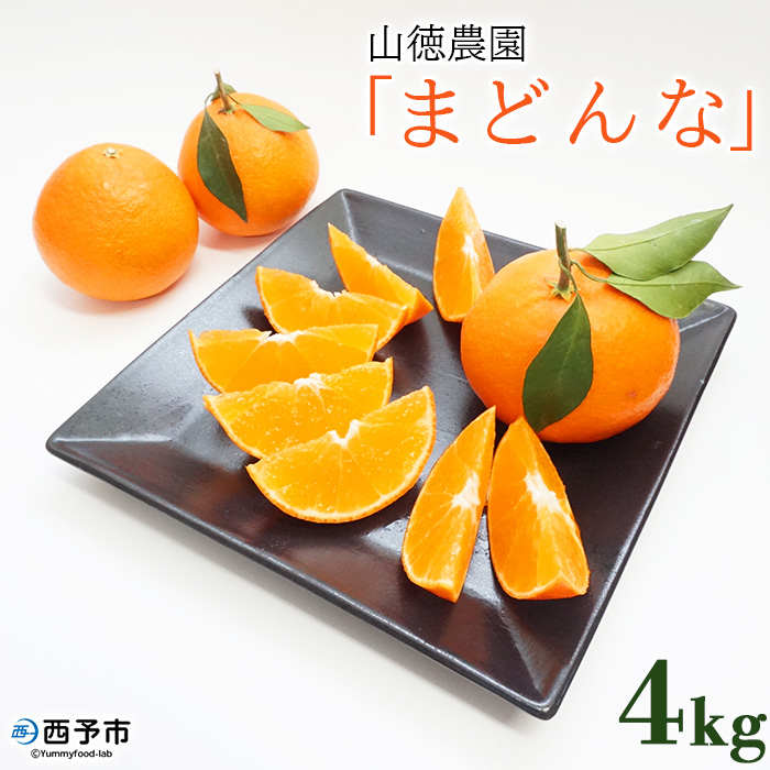 紅まどんなと同品種！＜山徳農園 「まどんな」 約4kg＞ 愛媛果試第28号 果物 くだもの マドンナ みかん ミカン 柑橘 フルーツ 産地直送 西宇和 愛媛県 西予市