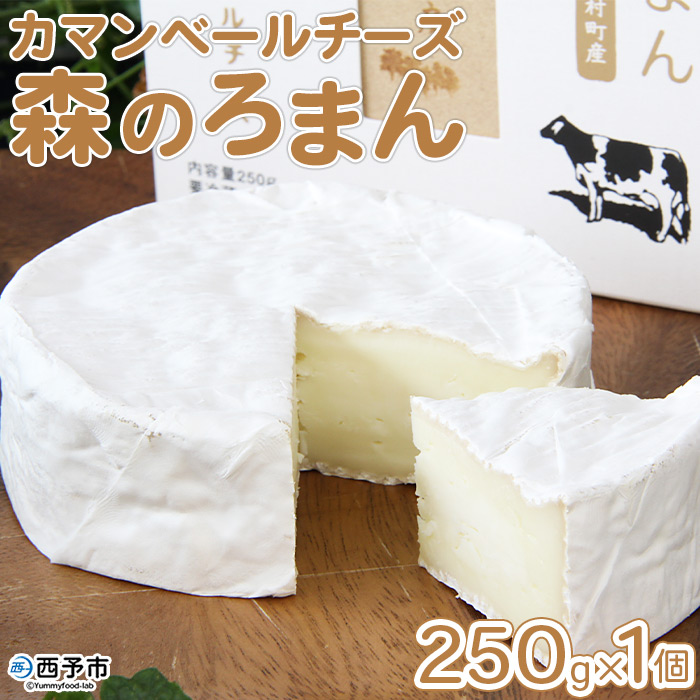 ＜カマンベールチーズ 「森のろまん」 250g×1個 ＞ 発酵食品 乳製品 加工品 生乳 伯方の塩 おつまみ ワイン おかず ピザ フォンデュ お料理 特産品 箱入り ギフト 国産 ほわいとファーム 愛媛県 西予市 250g×1個（寄附額9,000円）