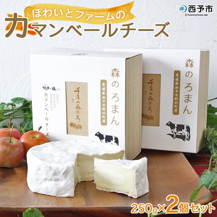 ＜カマンベールチーズ 「森のろまん」 250g×2個 ＞発酵食品 乳製品 加工品 生乳 伯方の塩 おつまみ ワイン おかず ピザ フォンデュ お料理 特産品 箱入り ギフト 国産 愛媛県 西予市 250g×2個（寄附額16,000円）