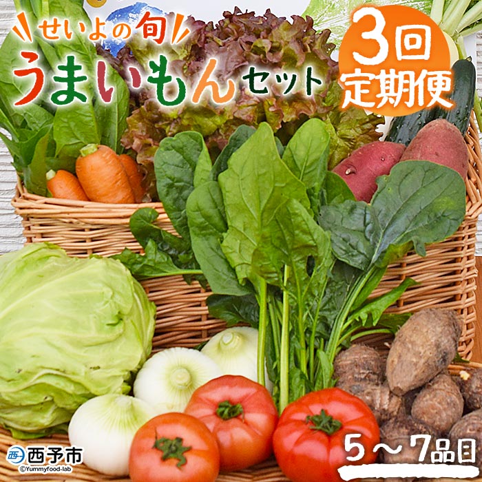 ＜せいよのうまいもんセット 3回定期便＞国産 旬 季節の野菜 やさい 詰め合わせ 愛媛県 西予市