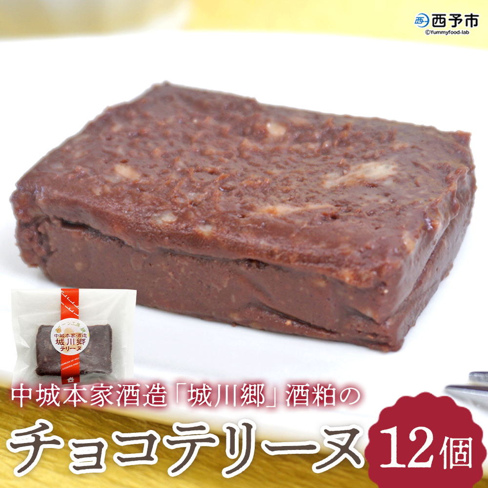 ＜中城本家酒造「城川郷」酒粕のチョコテリーヌ 12個＞ お酒 お菓子 焼き菓子 洋菓子 おやつ デザート お取り寄せ 詰め合わせ 個包装ギフト スイーツ工房絹 愛媛県 西予市