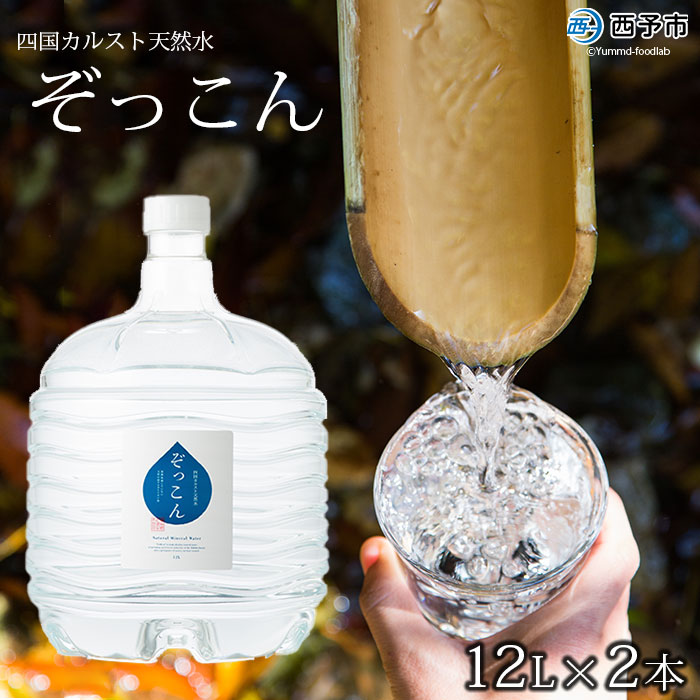 ＜四国カルスト天然水ぞっこん 12L×2本 計24L＞飲料 水 みず 中硬水 弱アルカリイオン水 ガロンボトル ウォーター バナジウム 備蓄 防災 キャンプ アウトドア 国産 特産品 ぞっこん四国 愛媛県 西予市