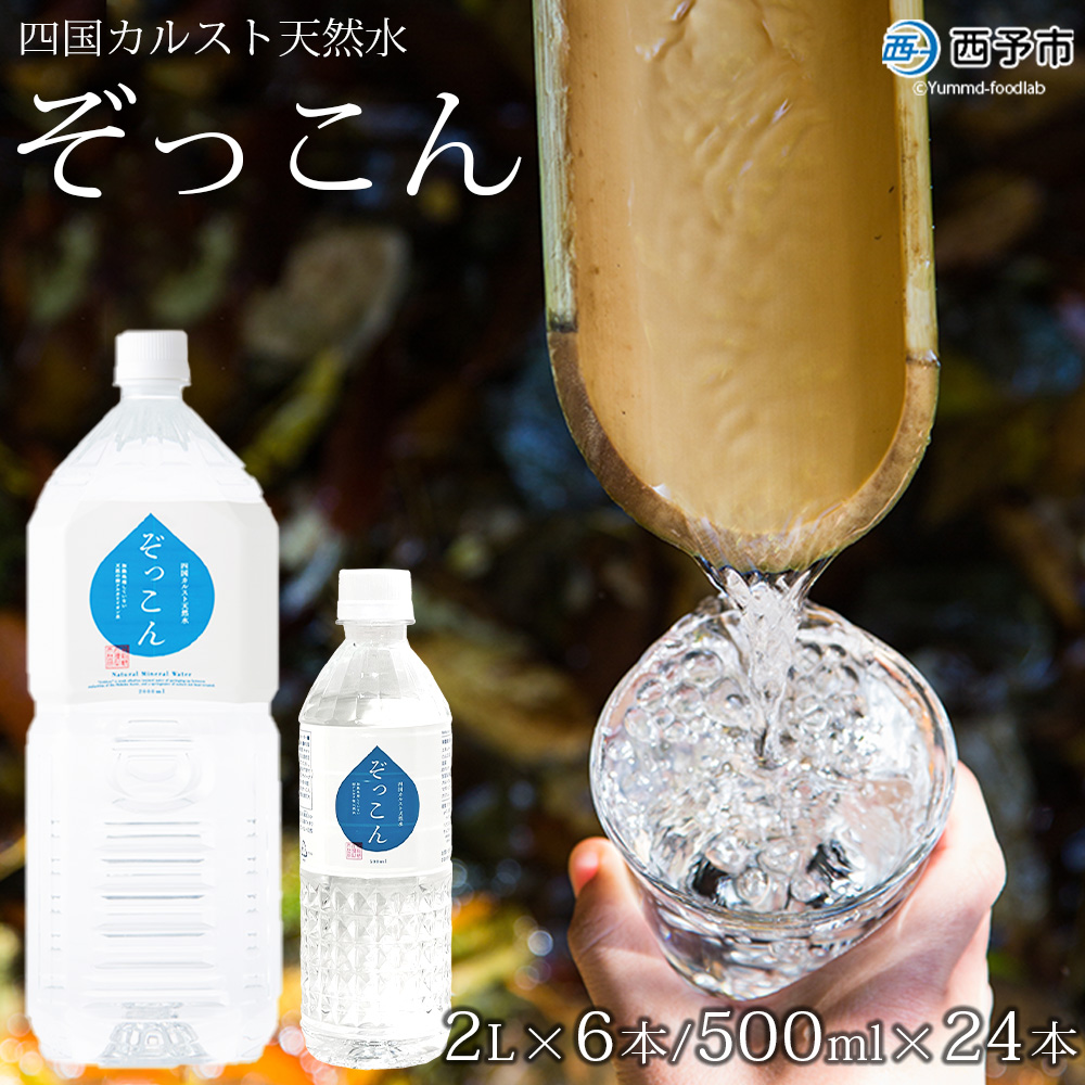 四国カルスト天然水ぞっこん（500mL×24本、2L×6本）