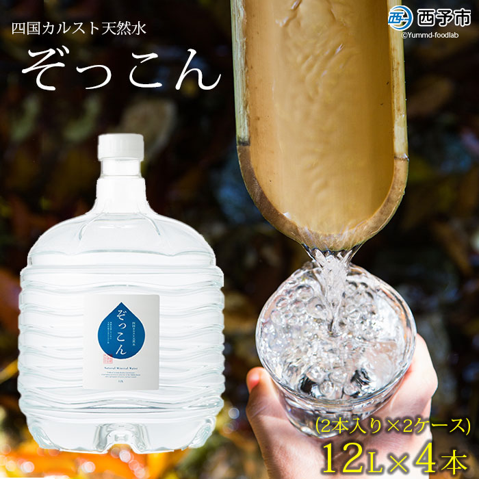 四国カルスト天然水ぞっこん (12L×2本)×2ケース 計4本