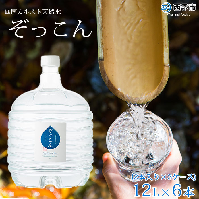 四国カルスト天然水ぞっこん (12L×2本)×3ケース 計6本
