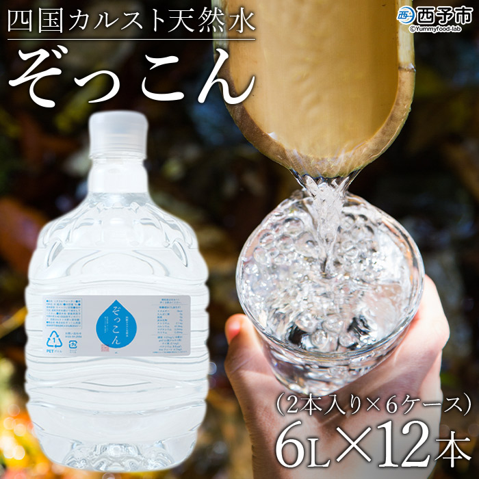 四国カルスト天然水ぞっこん（6L×2本）×6ケース　計12本