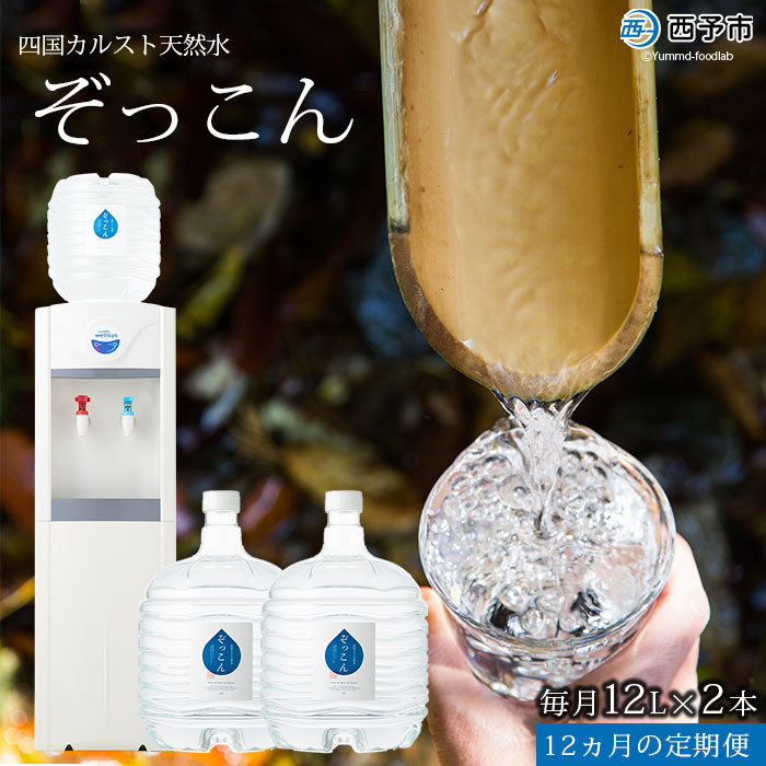 「四国カルスト天然水ぞっこん」ガロンボトル12L×24本、レンタルサーバーセット（毎月2本1年間の定期便）