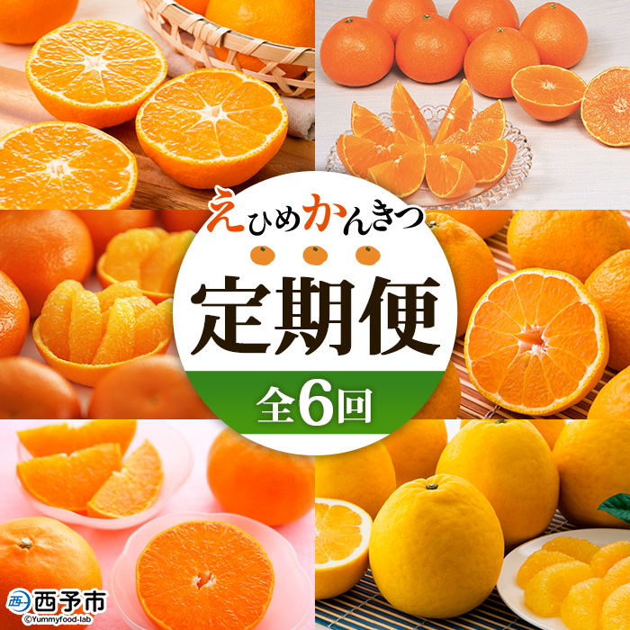 ＜2025年11月発送開始 えひめかんきつ定期便 全6回＞ 果物 フルーツ みかん ミカン 蜜柑 柑橘 日の丸みかん 紅まどんな 伊予柑 いよかん デコポン せとか 河内晩柑 愛媛県 西予市