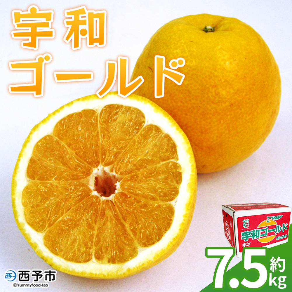 ＜宇和ゴールド 約7.5kg＞ 果物 フルーツ みかん ミカン オレンジ 柑橘 河内晩柑 愛南ゴールド 美生柑 特産品 JA えひめ南農業協同組合 愛媛県 西予市