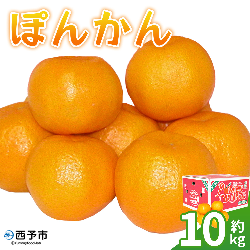 ＜ぽんかん 約10kg＞ 果物 フルーツ みかん ミカン オレンジ 柑橘 椪柑 ポンカン 特産品 JA えひめ南農業協同組合 愛媛県 西予市