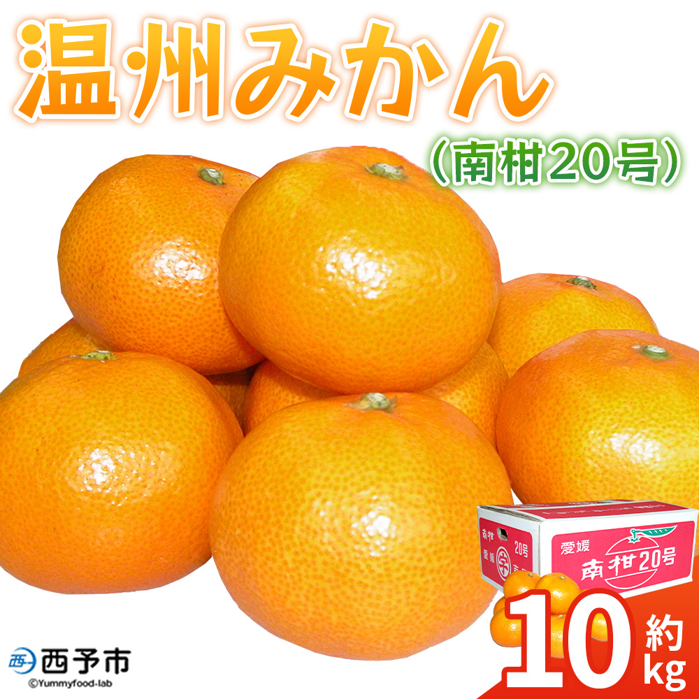 ＜温州みかん（南柑20号）約10kg＞ 果物 フルーツ みかん ミカン オレンジ 柑橘 特産品 JA えひめ南農業協同組合 愛媛県 西予市