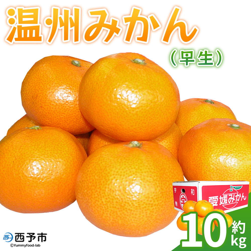 ＜温州みかん（早生）約10kg＞ 果物 フルーツ みかん ミカン オレンジ 柑橘 特産品 JA えひめ南農業協同組合 愛媛県 西予市