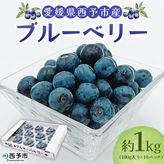 ＜愛媛県西予市産 ブルーベリー 約1kg（100g入り×10パック）＞ ぶるーべりー 果実 果物 生 くだもの フルーツ 国産 小分け ジャム スムージー 株式会社フジ・アグリフーズ 愛媛県 西予市【冷蔵】