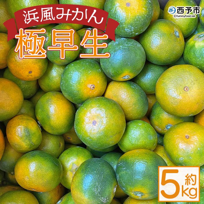 ＜浜風みかん 極早生 約５kg＞ごくわせ 柑橘 ミカン 果物 フルーツ 愛媛県 西予市