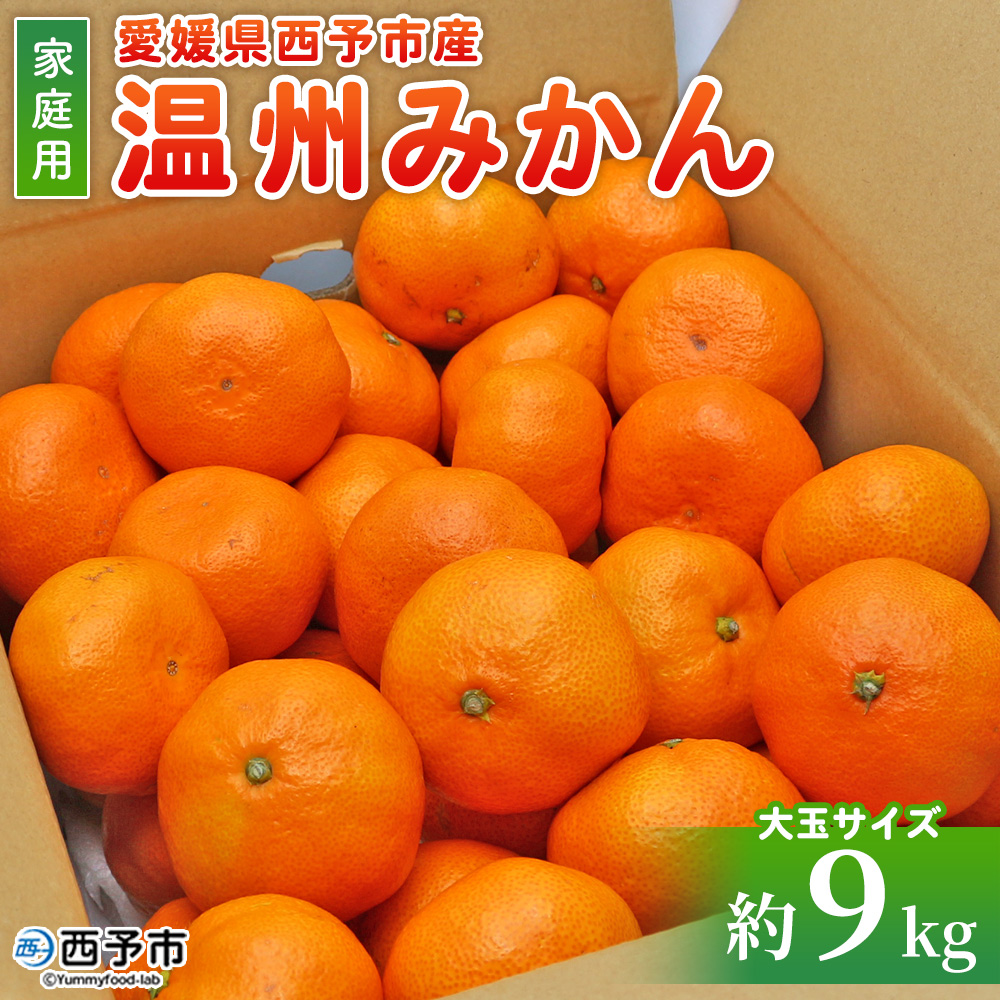 ＜愛媛県西予市産 温州みかん 大玉サイズ 家庭用 約9kg＞ 愛媛県産 西宇和 大玉 大きめ 家庭用 果物 フルーツ 柑橘 うんしゅうみかん オレンジ ミカン 蜜柑 訳あり 小林果園 愛媛県 西予市