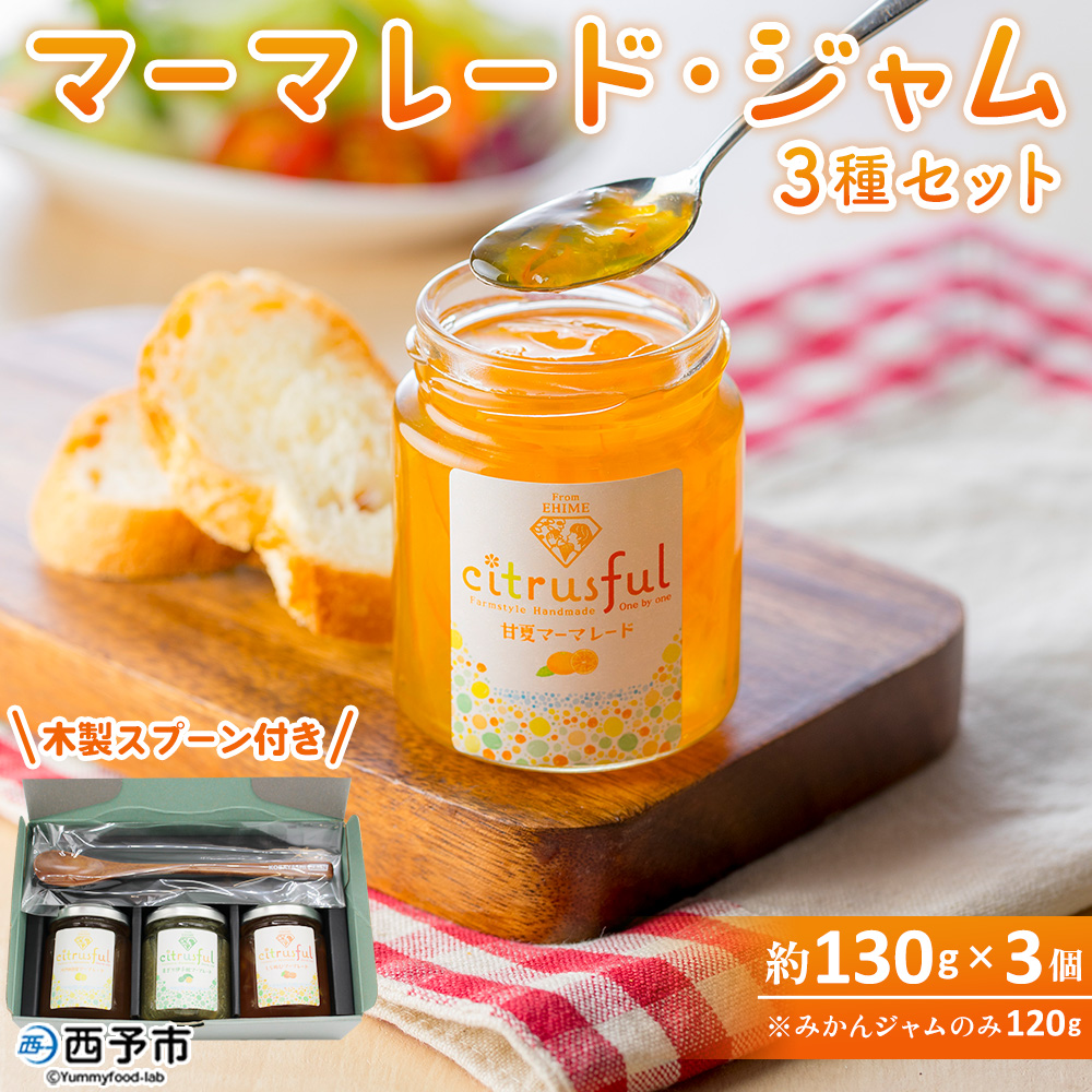 ＜マーマレード・ジャム 3種セット＞ 国産 愛媛県産 西宇和 マーマレード ジャム セット 3個 産地直送 季節のジャム みかん ミカン 果物 フルーツ 柑橘 オレンジ 蜜柑 手作り 果実 手作りジャム 小林果園 愛媛県 西予市