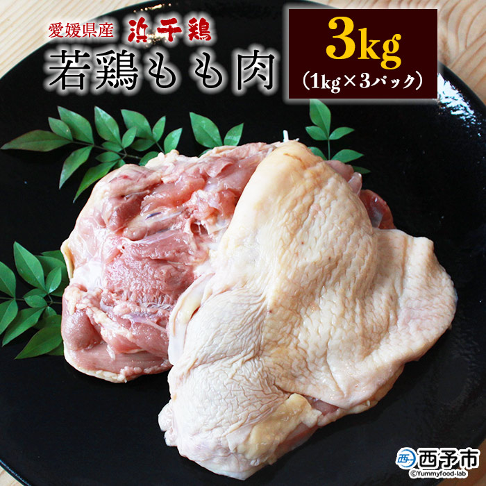＜銘柄鶏 浜千鶏 愛媛県産 若鶏もも肉 3kg（1kg×3）＞ 国産 鶏肉 鳥肉 とり チキン モモ肉 ブロック 精肉 にく 料理 アレンジ 夕飯 夕食 お弁当 昼食 唐揚げ から揚げ 焼き鳥 愛媛県 西予市