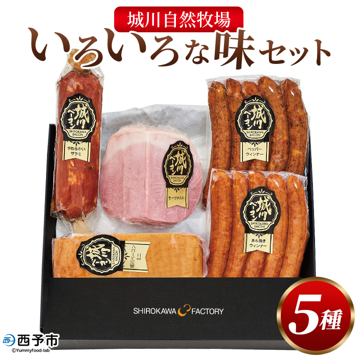 ＜城川自然牧場 いろいろな味セット 5種＞ サラミ ベーコン 粗挽きウインナー ペッパーウインナー 豚肉 牛肉 国産 加工品 詰め合わせ 贈答用 城川ファクトリー 愛媛県 西予市